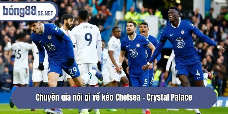 Chuyên gia nói gì về kèo Chelsea - Crystal Palace?