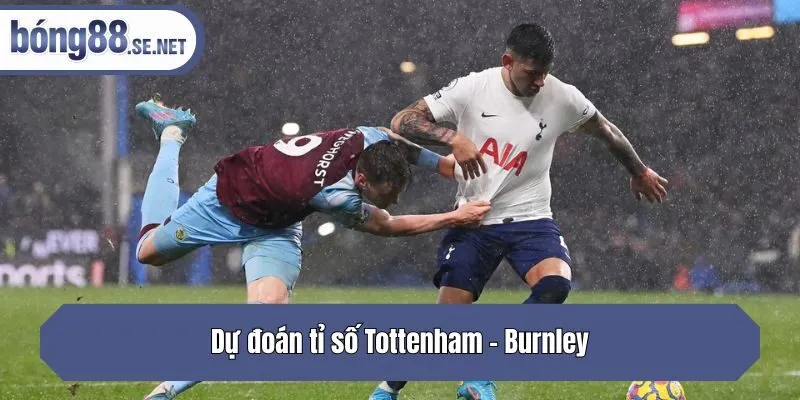 Dự đoán tỉ số Tottenham - Burnley