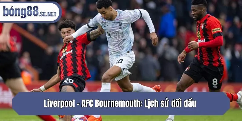 Liverpool - AFC Bournemouth: Lịch sử đối đầu 